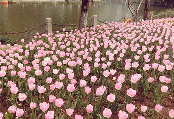 马鞍池公园第 21 张图片