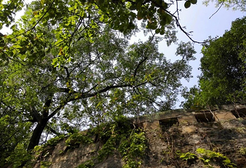 龙凤山公园第 7 张图片