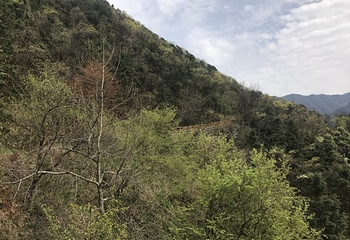 青州神秘山寨第 9 张图片