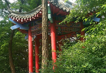元宝山公园第 14 张图片