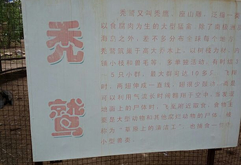 一马树森林公园第 27 张图片