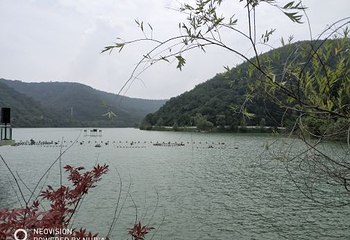 侍郎湖生态旅游景区第 18 张图片