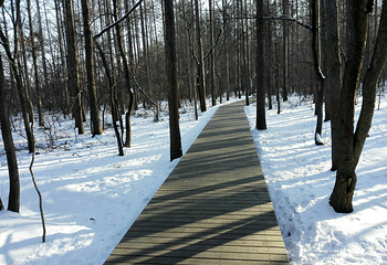 净月潭滑雪场第 8 张图片