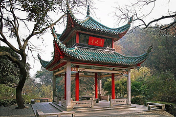 爱晚亭第 14 张图片
