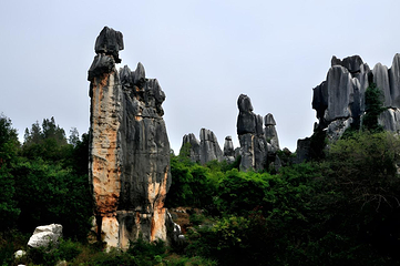 石林风景区第 333 张图片