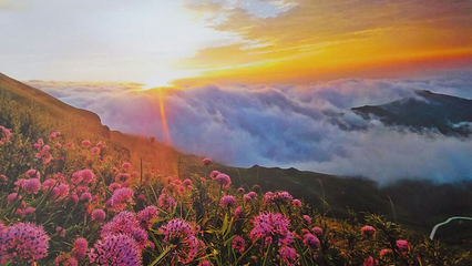 天上花海景区第 7 张图片
