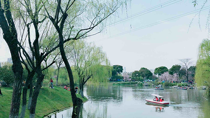 闵行体育公园第 11 张图片