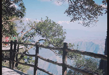 莽山旅游区国家森林公园第 97 张图片