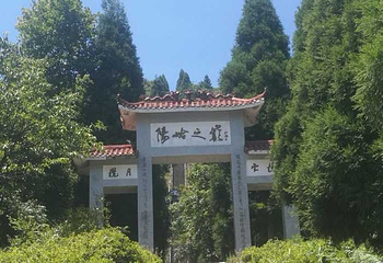 阳明山国家森林公园第 38 张图片