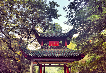 爱晚亭第 13 张图片