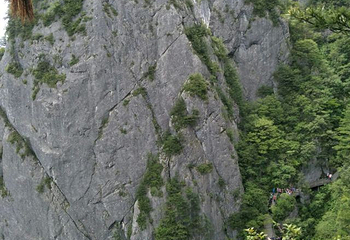 秦岭天竺山生态文化旅游景区第 68 张图片