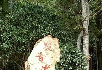 三爪仑国家森林公园第 6 张图片