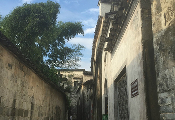 西园第 14 张图片
