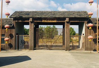 八卦洲沙漠风情园第 17 张图片