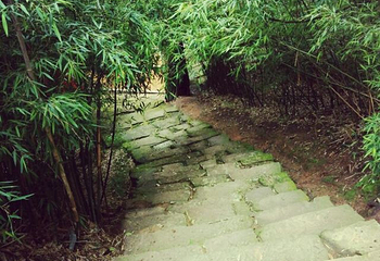 秀山历史文化公园第 25 张图片