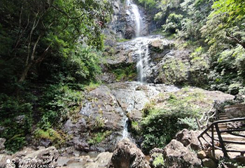 三百山景区第 36 张图片