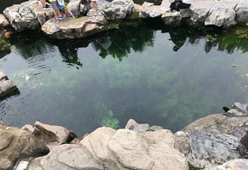 解放阁第 24 张图片