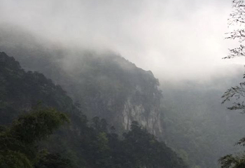 明月山维景国际温泉第 53 张图片