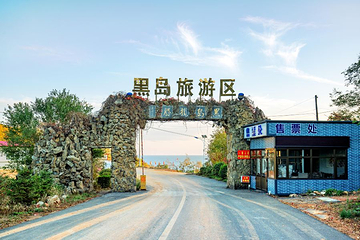 黑岛第 20 张图片