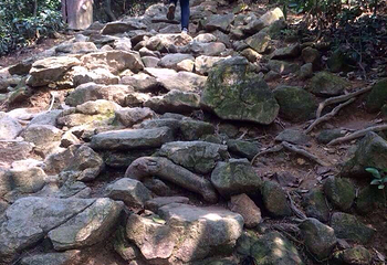 塘朗山公园第 6 张图片