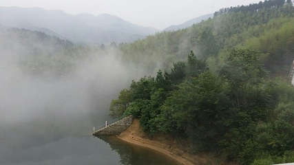 黄柏山国家森林公园第 38 张图片
