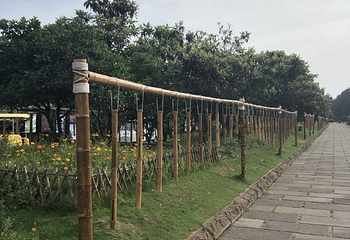 玉环漩门湾观光农业园第 10 张图片