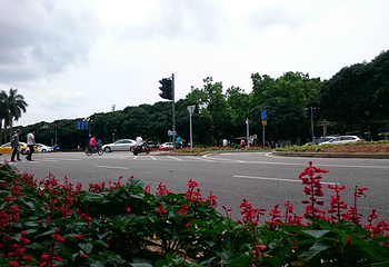 兴中道第 7 张图片