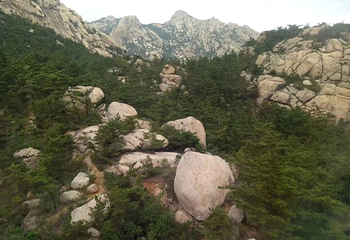 会场赶海园第 17 张图片