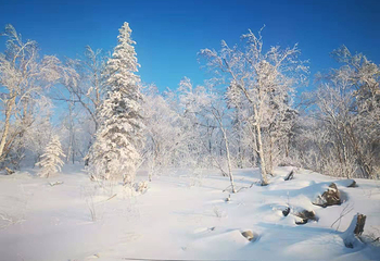 亚雪驿站十里画廊第 11 张图片