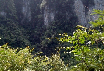 油杉河景区第 13 张图片