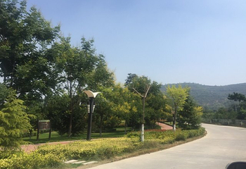 千湖国家湿地公园第 15 张图片