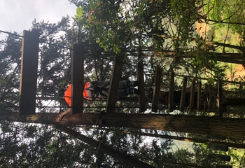石龙谷森林游乐园第 32 张图片