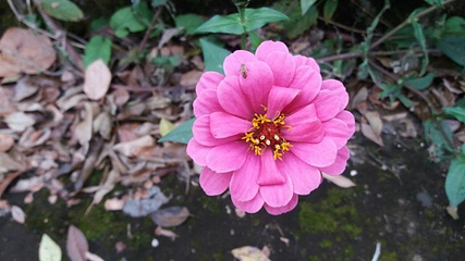 花乡茶谷旅游景区第 66 张图片