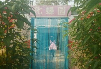 旅顺太空植物王国第 11 张图片