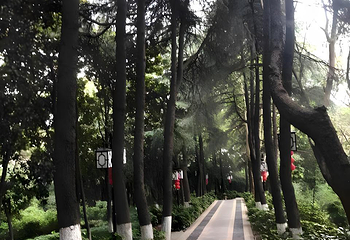 大报恩寺遗址景区第 52 张图片