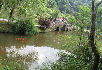 婺源瑶湾景区第 17 张图片