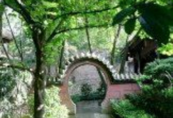 中华蝴蝶生态城第 22 张图片