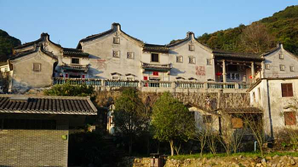 雁南飞茶田景区第 61 张图片
