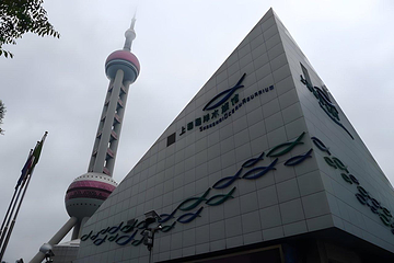 上海海洋水族馆第 222 张图片