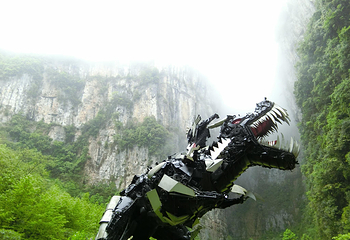 武隆喀斯特旅游区第 58 张图片