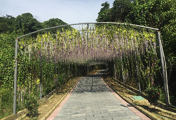 HAKKA客家农场第 87 张图片