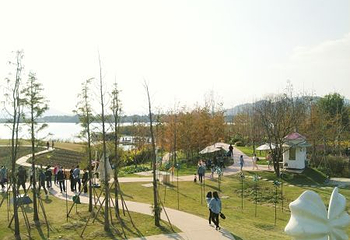 下渚湖·湿地公园第 88 张图片