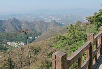 景忠山第 22 张图片