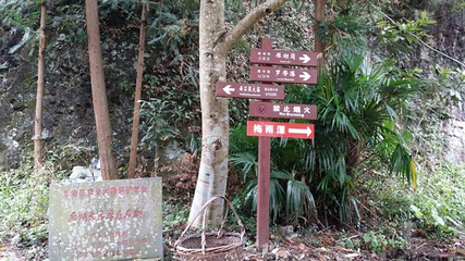 雁湖景区第 15 张图片