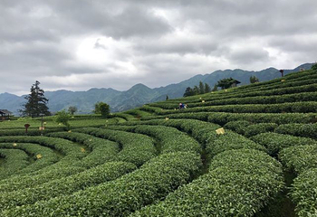 仙人山景区第 36 张图片