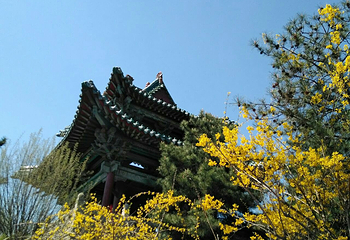 天龙山石窟第 29 张图片