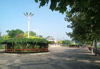 白洋淀宝岛水上游乐园第 8 张图片