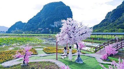 峰林晓镇第 115 张图片