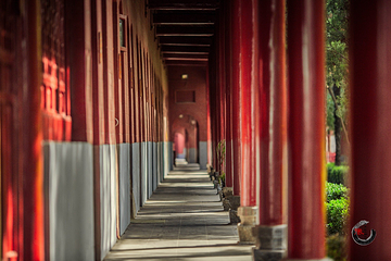 白马寺第 76 张图片