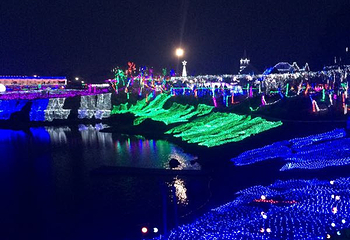 香草湖梦幻灯光节第 9 张图片